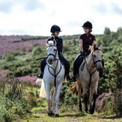 Two friends hacking on Exmoor