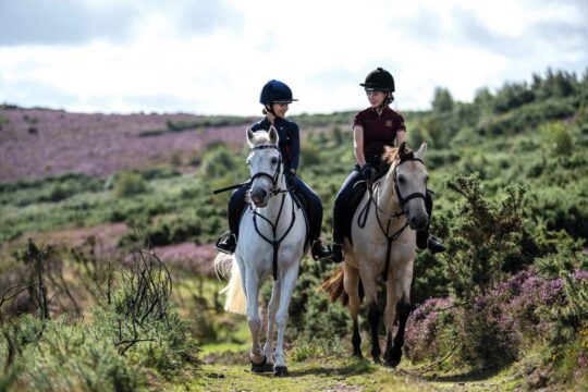 Two friends hacking on Exmoor