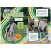PONY the Annual 2025