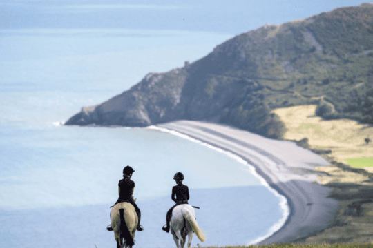 PNY_WEB_10_AWESOME_HORSEY_HOLIDAYS