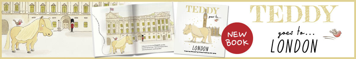 Teddy goes to London book