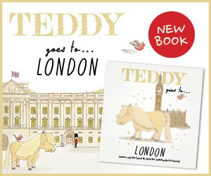 Teddy goes to London book